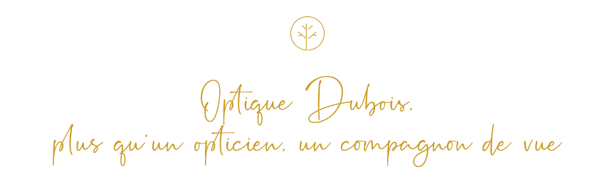 intro_services